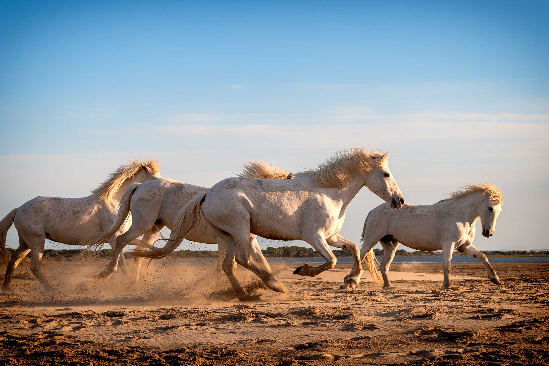 La camargue Votre Voyage France